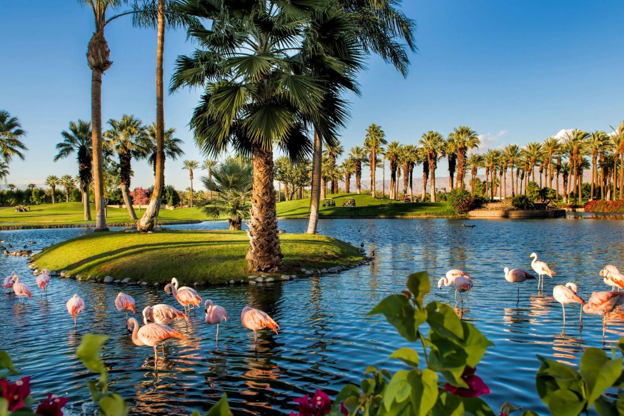 Jw Marriott Desert Springs Resort & Spa Palm Desert Exterior photo